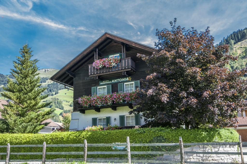 Ferienhaus Antonia Dorfgastein Exteriör bild